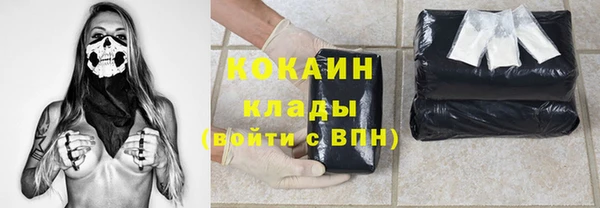 гидра Надым