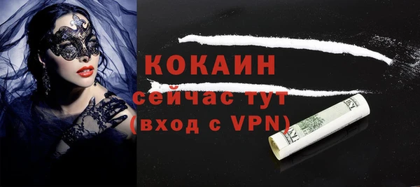 гидра Надым