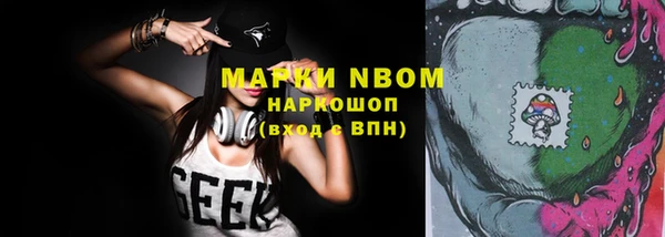 гидра Надым