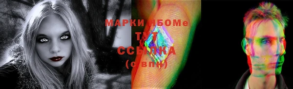 гидра Надым
