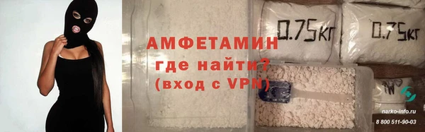 гидра Надым