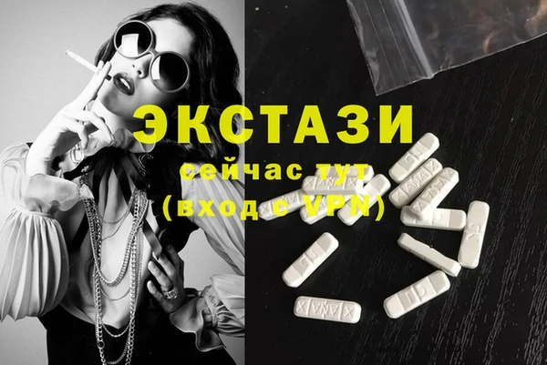 гидра Надым