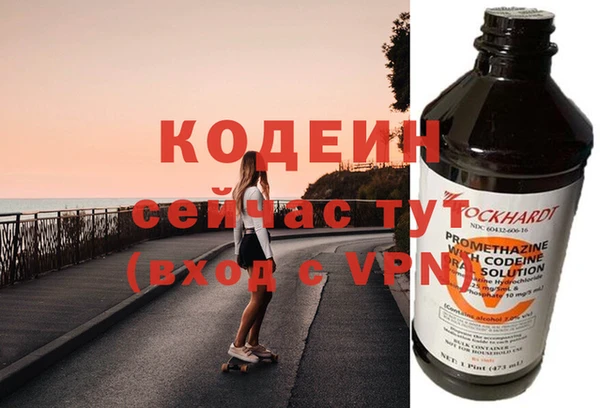 гидра Надым