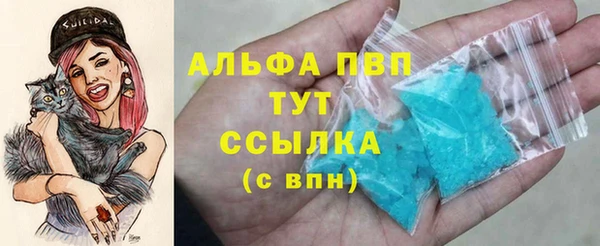 гидра Надым