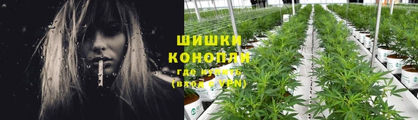 гидра Надым